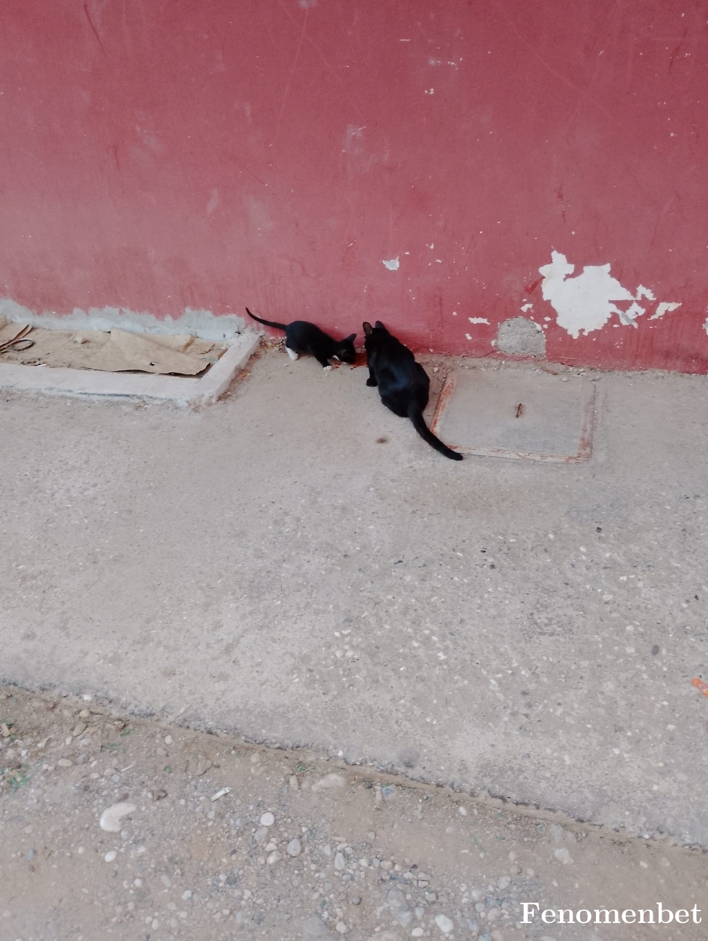 07zerre  tarafından paylaşıldı