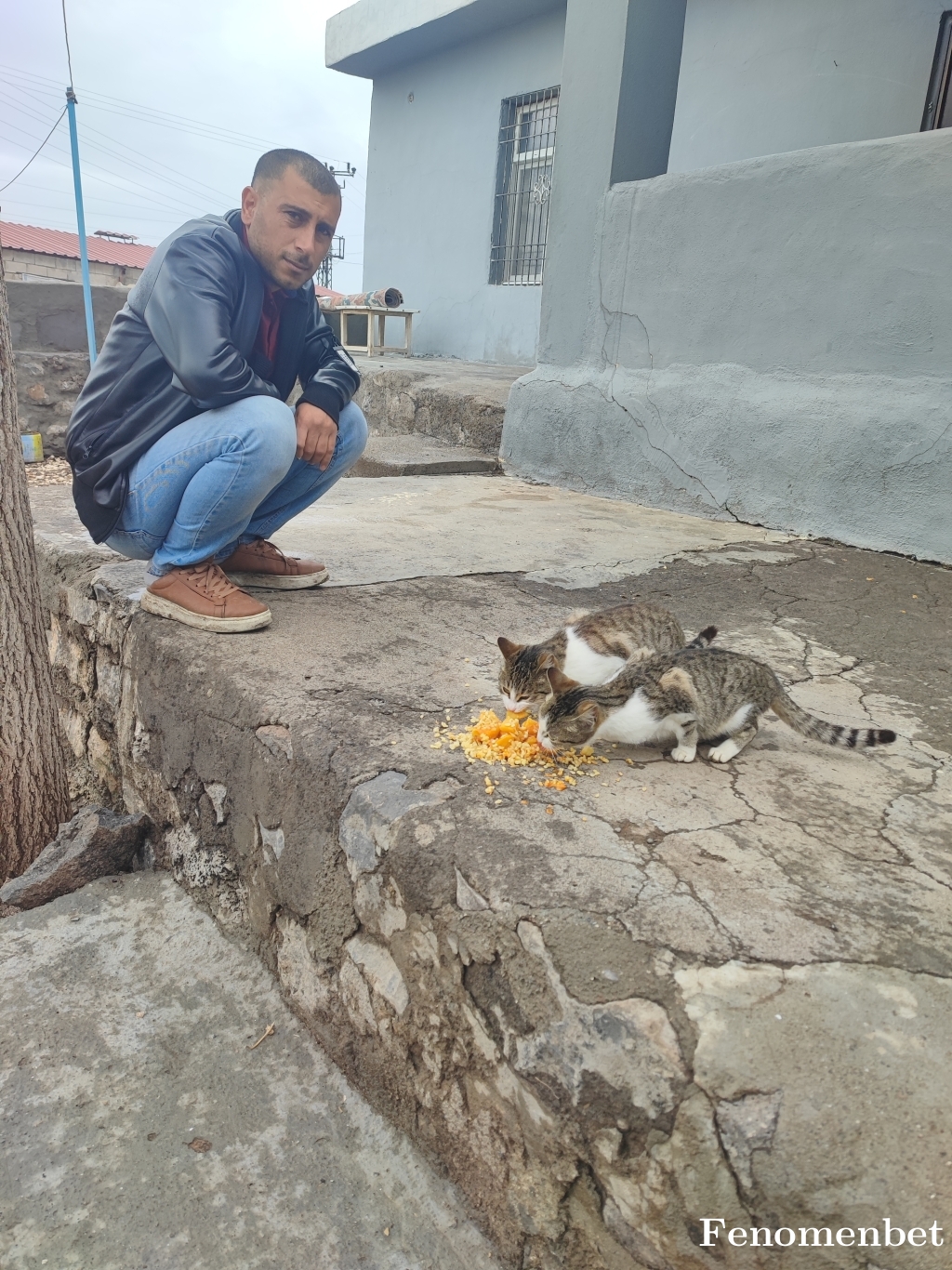 Ramo3421E tarafından paylaşıldı