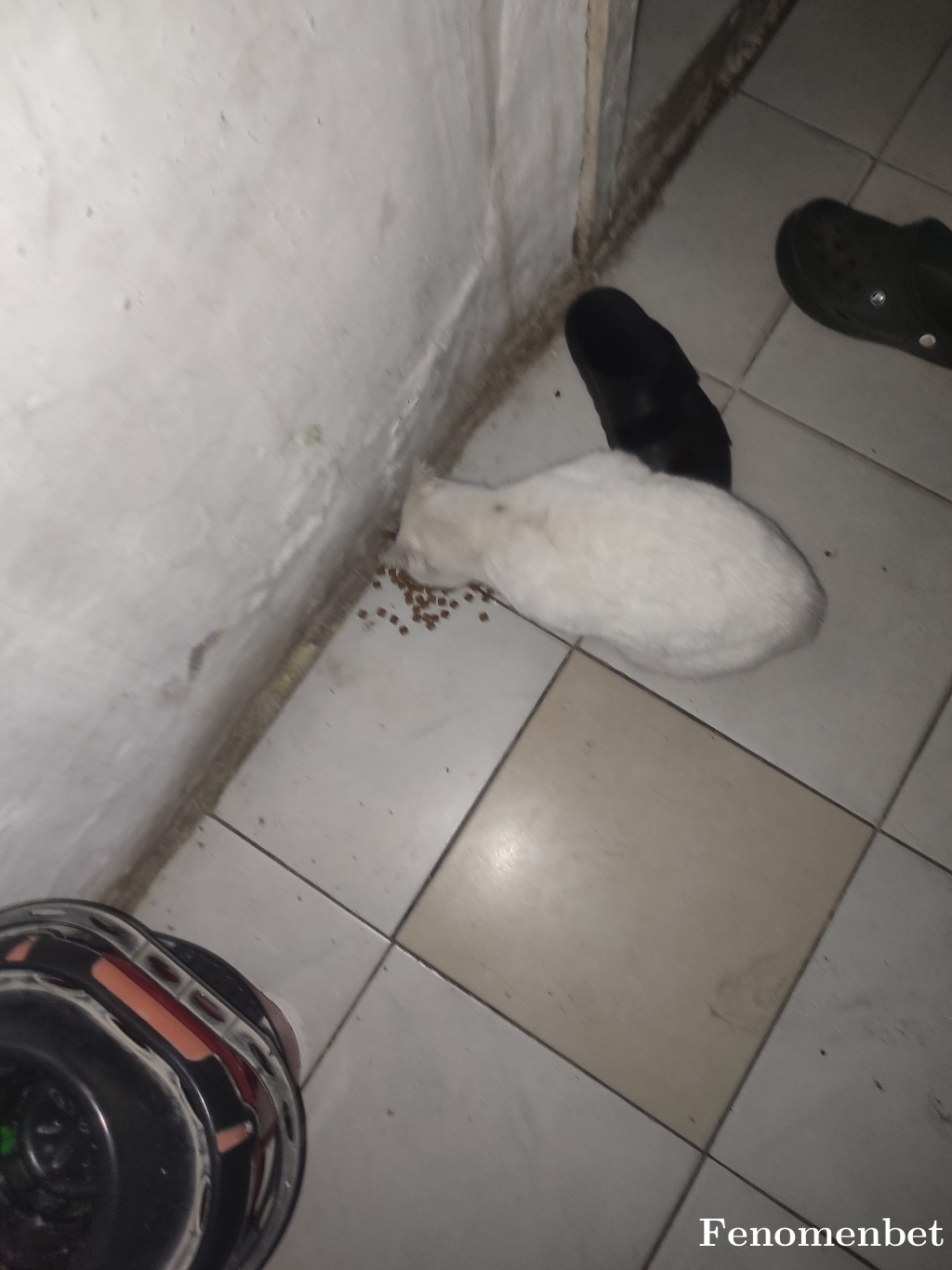 rribella87 tarafından paylaşıldı