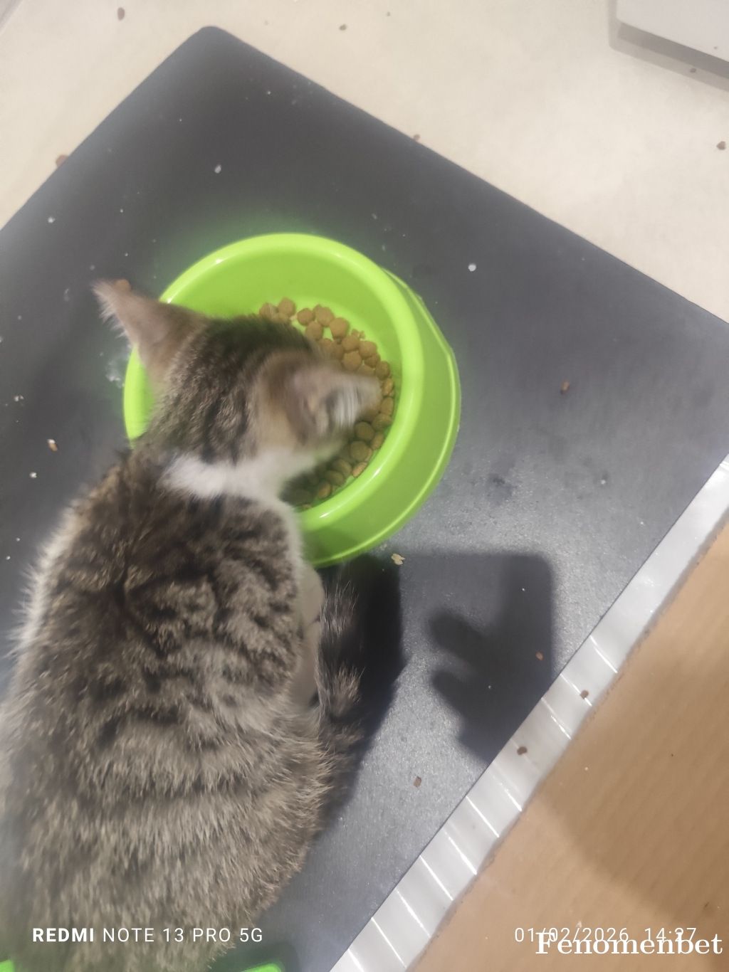 Ogzgcl17  tarafından paylaşıldı