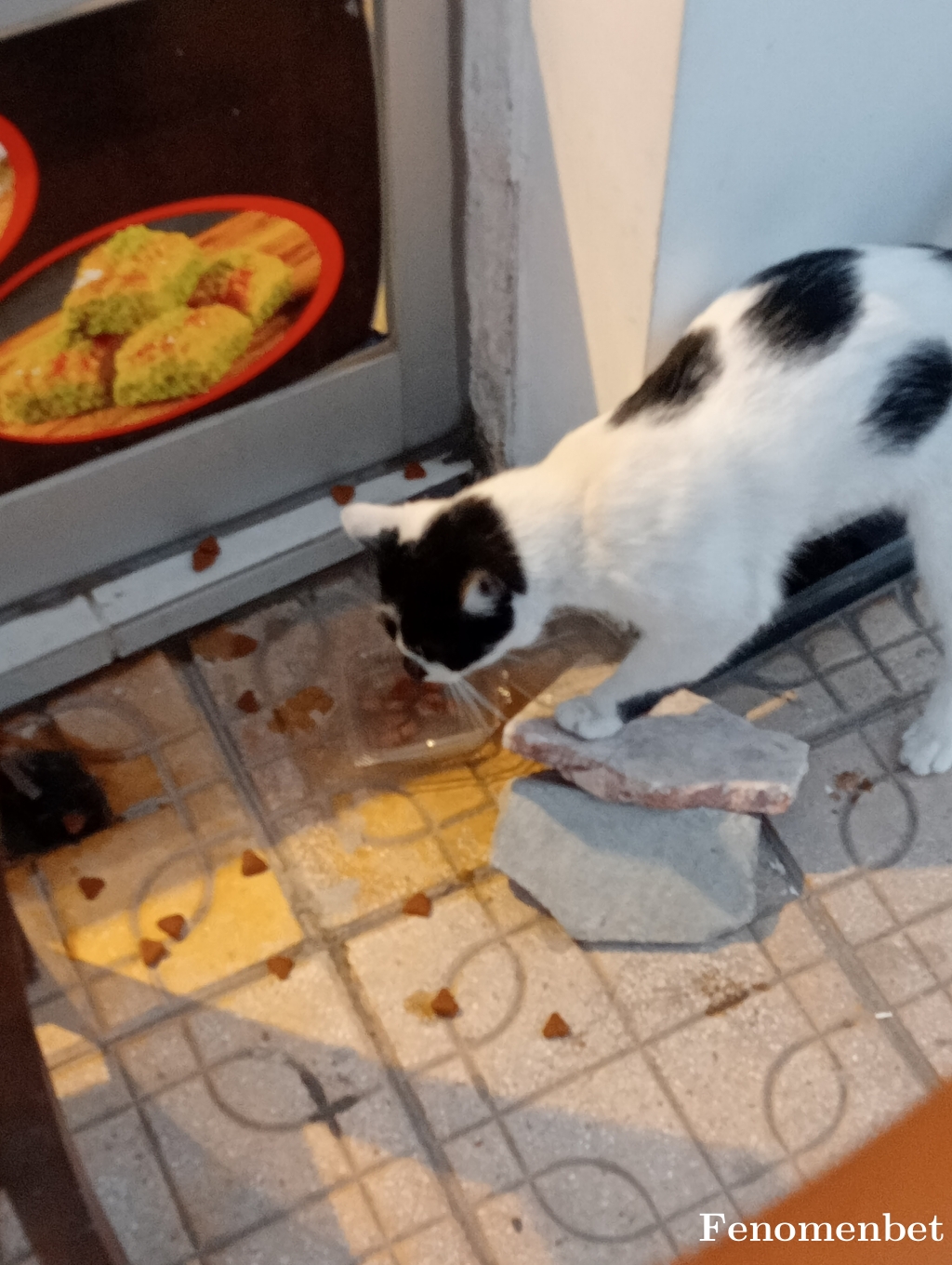 Naty19 tarafından paylaşıldı