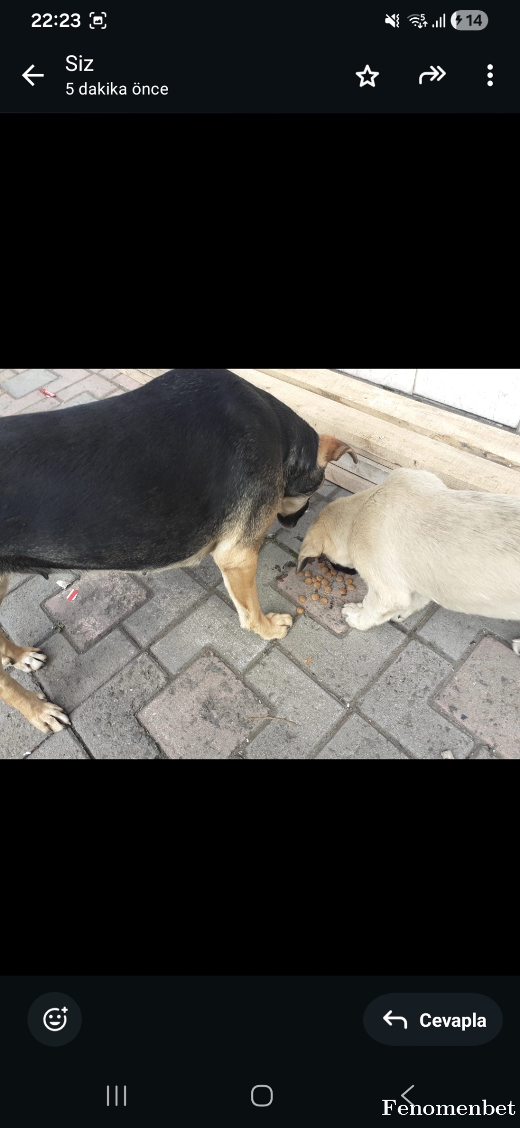 sdtmct  tarafından paylaşıldı