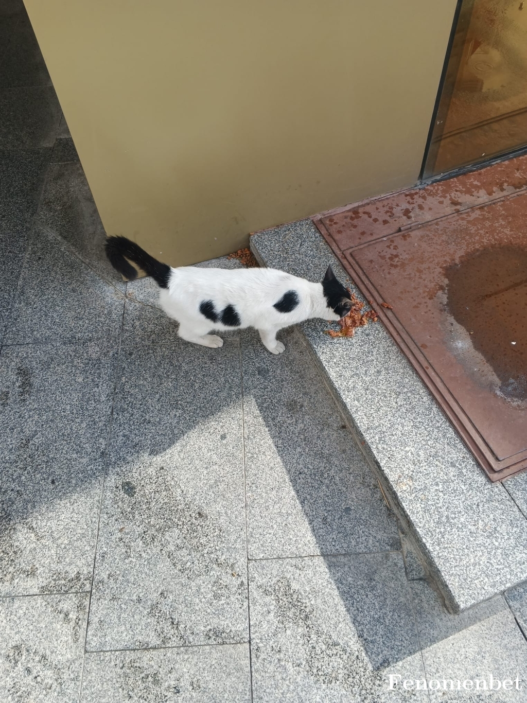 Chatlakman  tarafından paylaşıldı