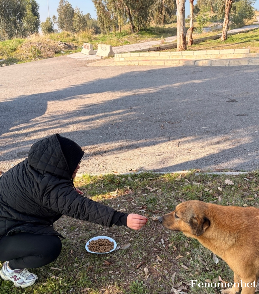 Kader3435 tarafından paylaşıldı