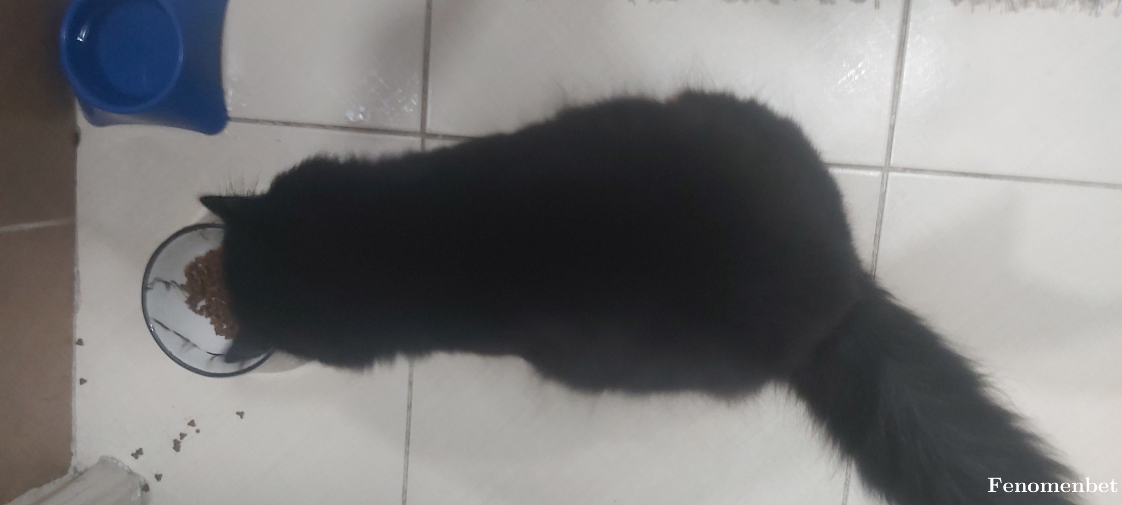 Mhmtucknn28 tarafından paylaşıldı