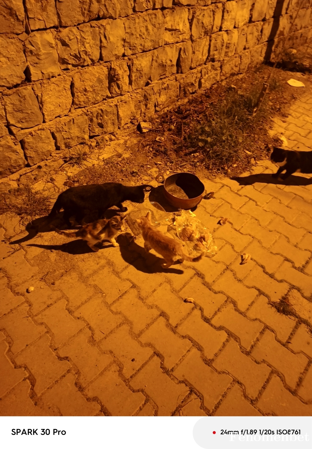 Serhat3561 tarafından paylaşıldı