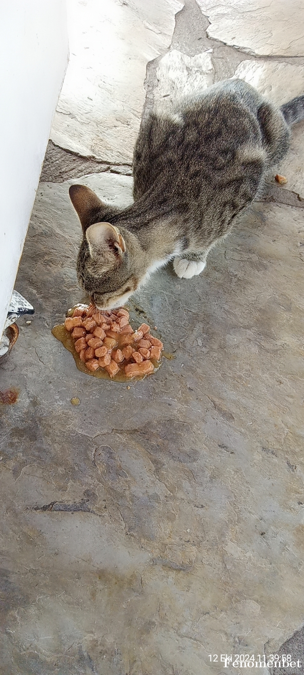 Sibel1971 tarafından paylaşıldı