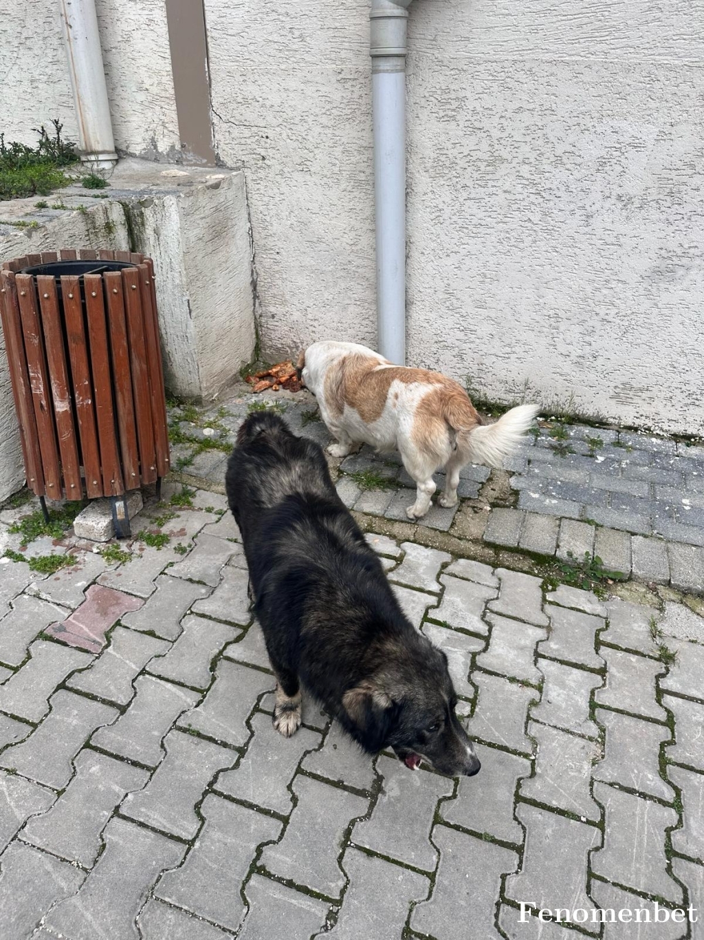 Mrshancii  tarafından paylaşıldı