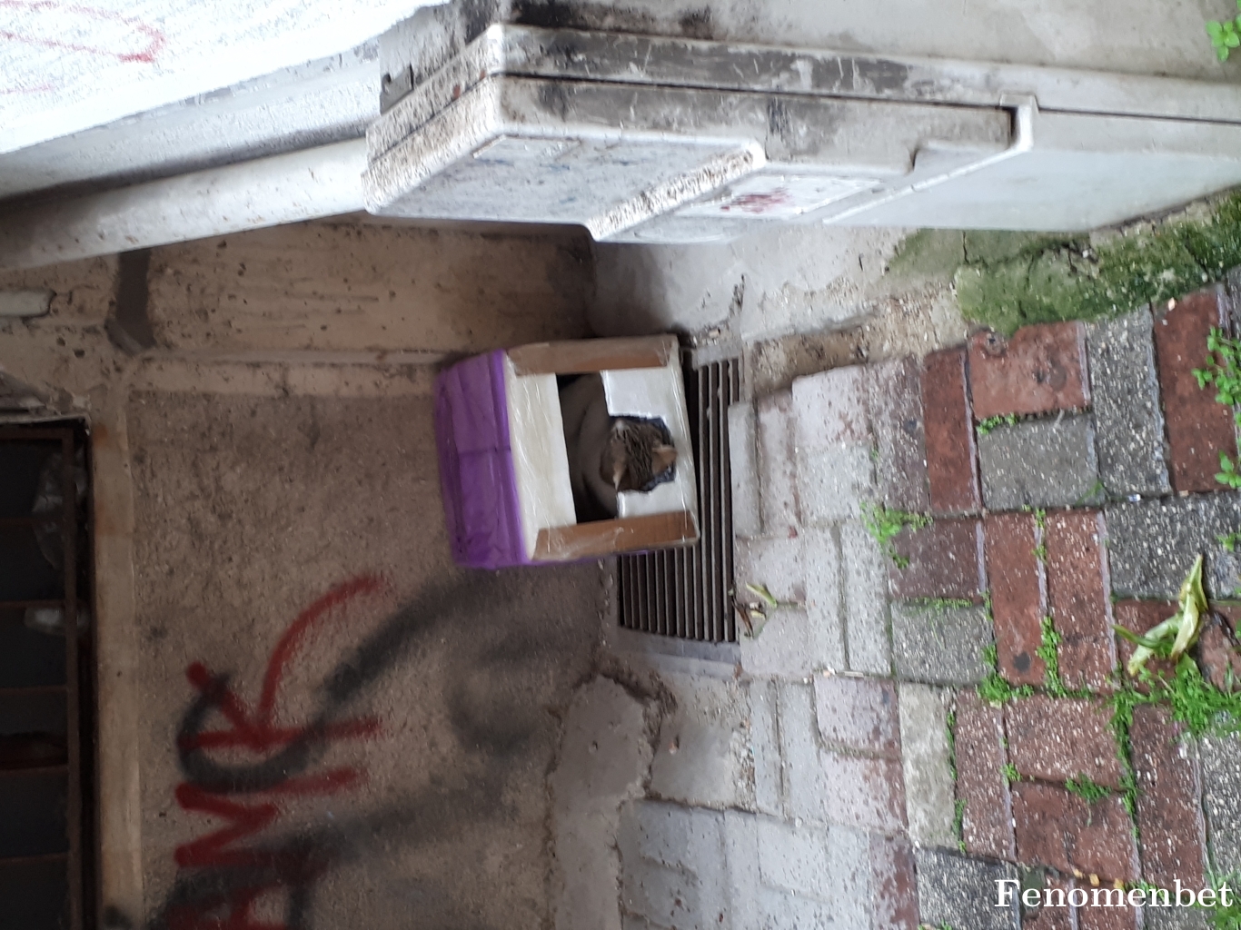 fotifoti tarafından paylaşıldı