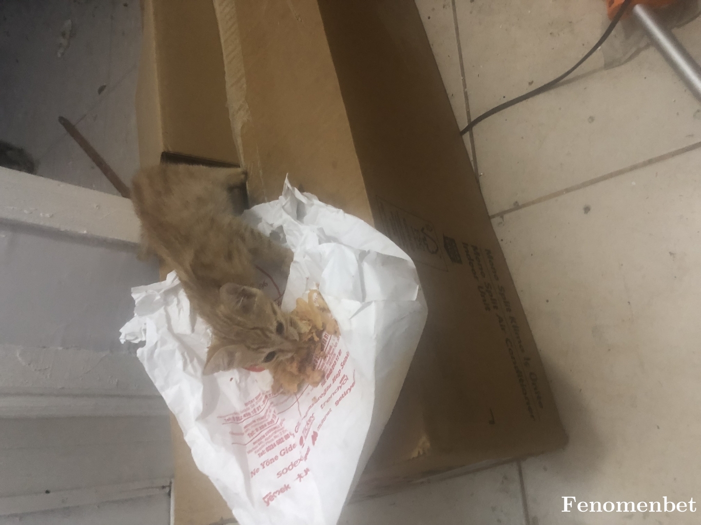 Dilan12 tarafından paylaşıldı