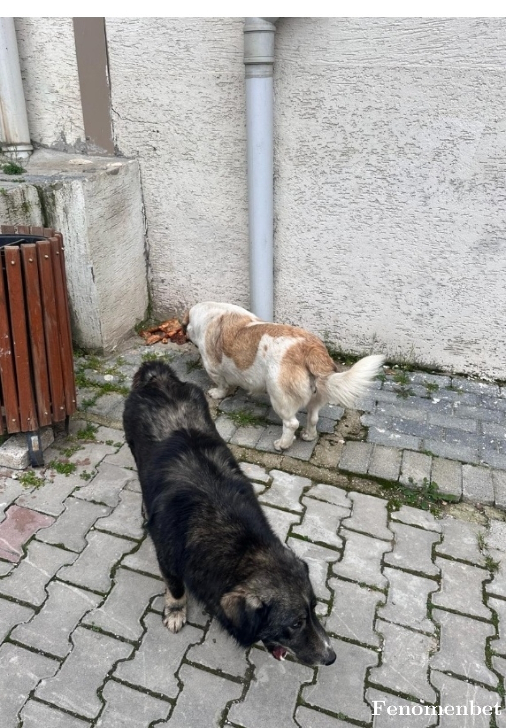 Mert2731 tarafından paylaşıldı