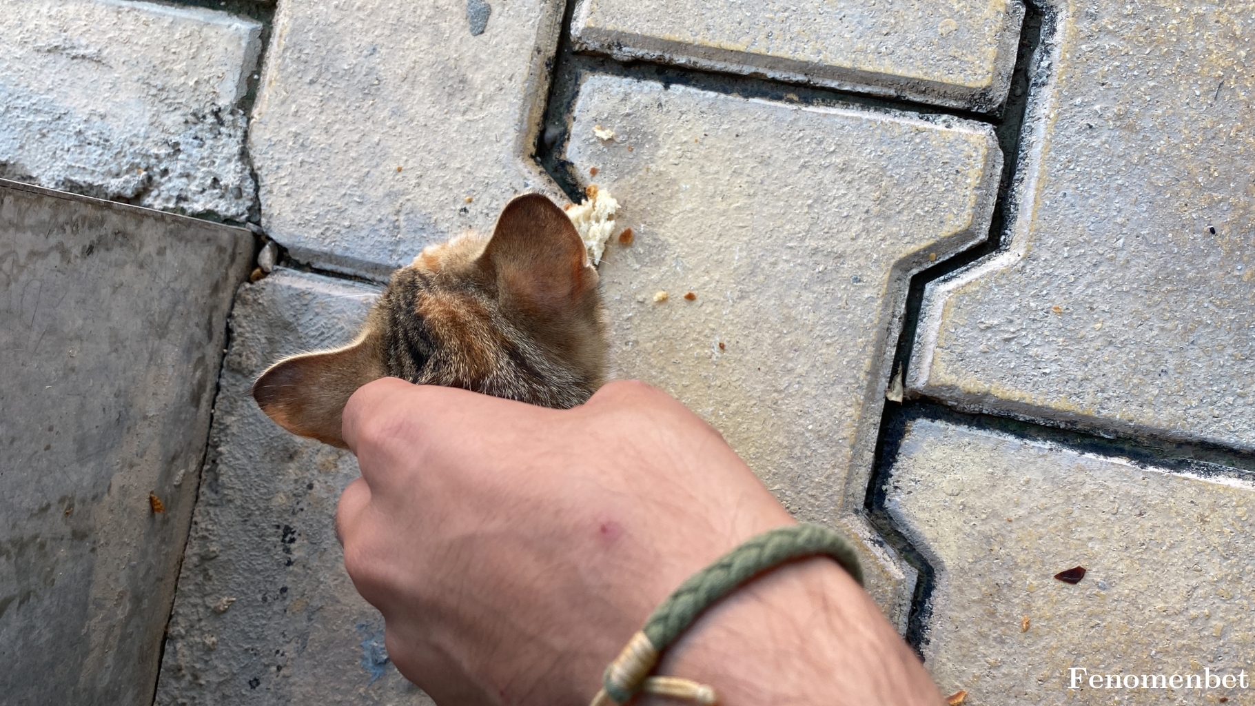 soldier555 tarafından paylaşıldı