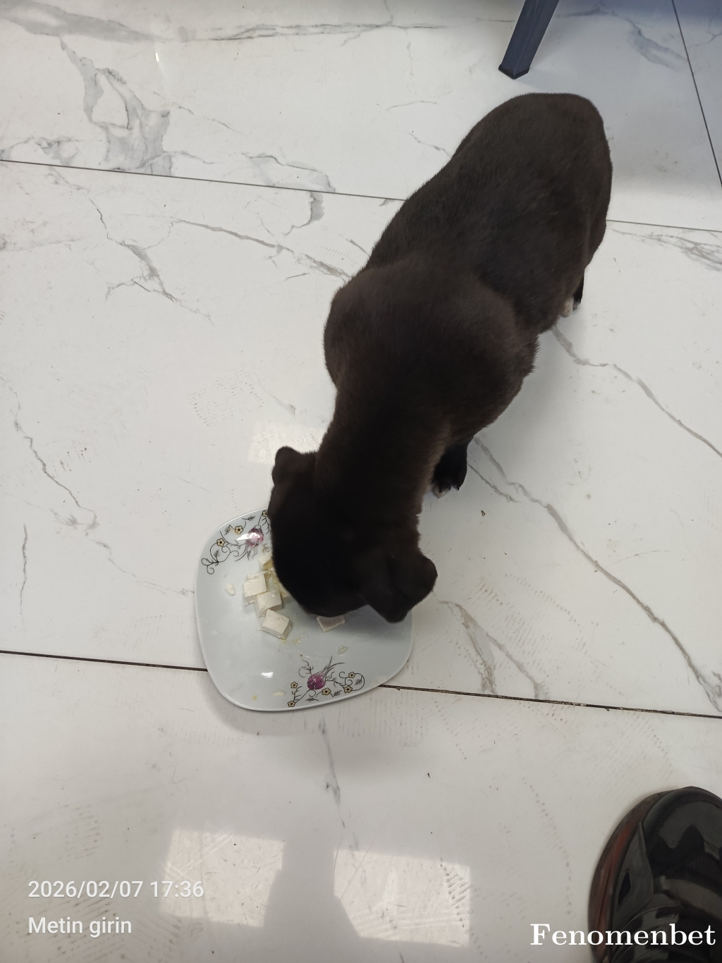 kdrwww tarafından paylaşıldı