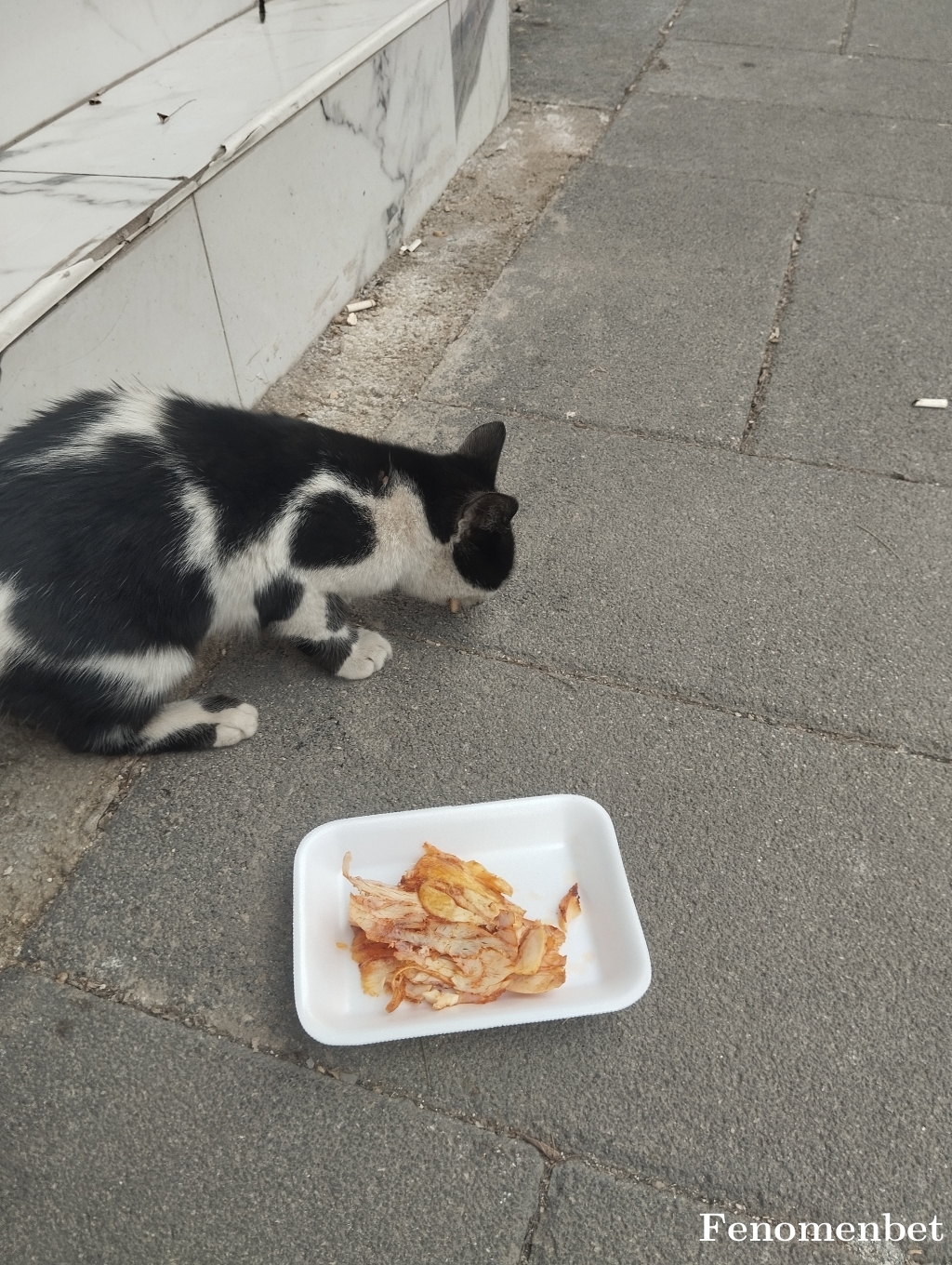 Beratx11 tarafından paylaşıldı