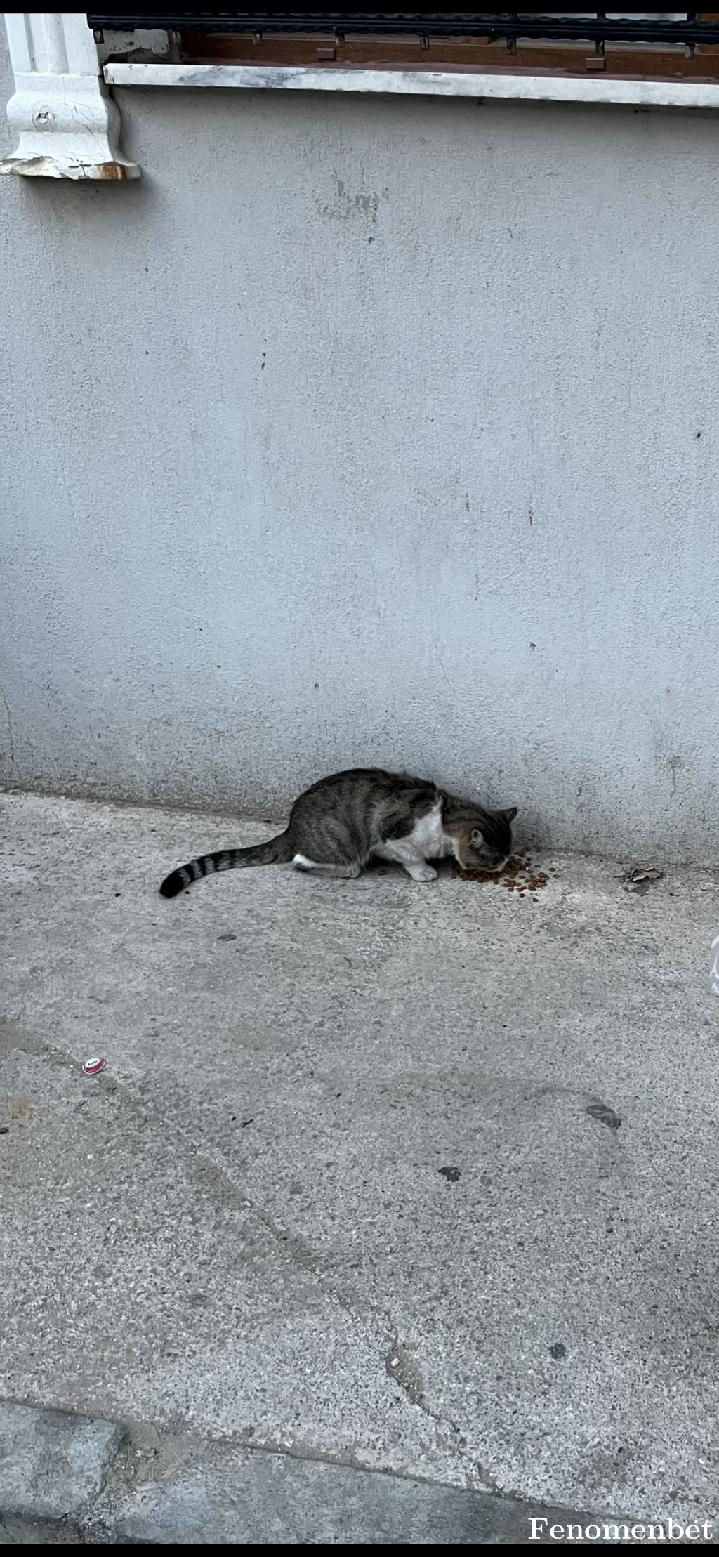 Cansuuuuue tarafından paylaşıldı