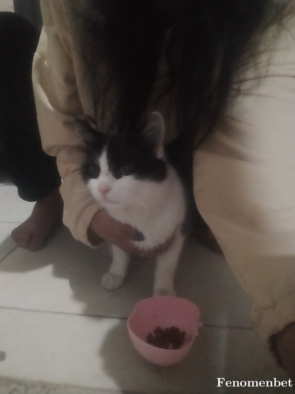 Denixxre tarafından paylaşıldı