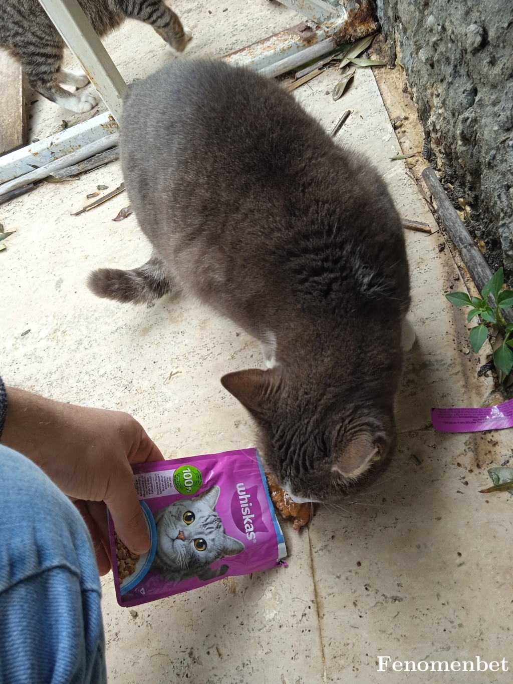 razor1233 tarafından paylaşıldı