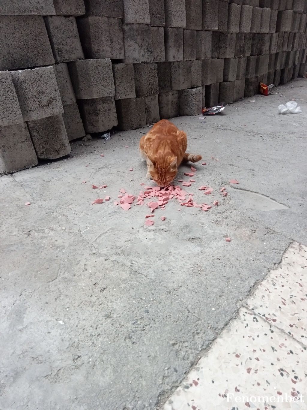 zeki3310 tarafından paylaşıldı