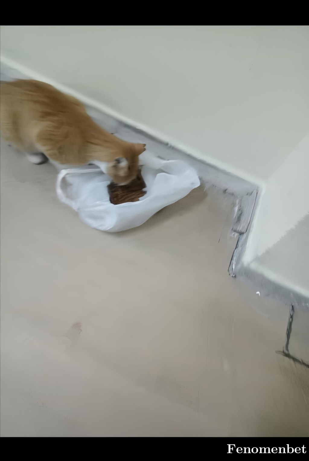 buraksipg tarafından paylaşıldı