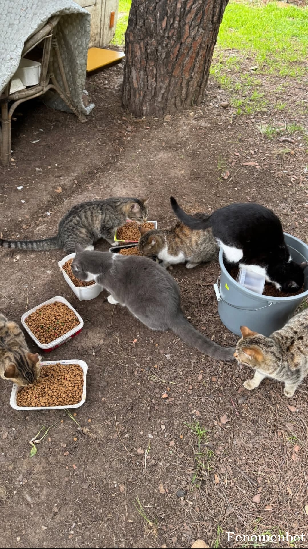 Mehmetakcay17 tarafından paylaşıldı