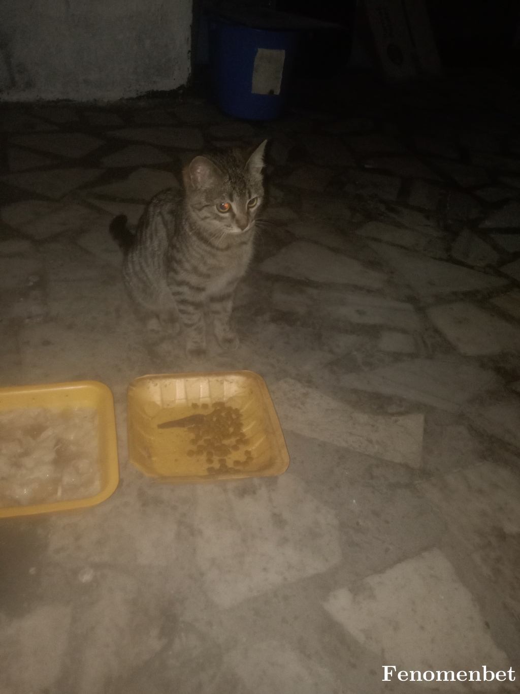 bkraknc tarafından paylaşıldı