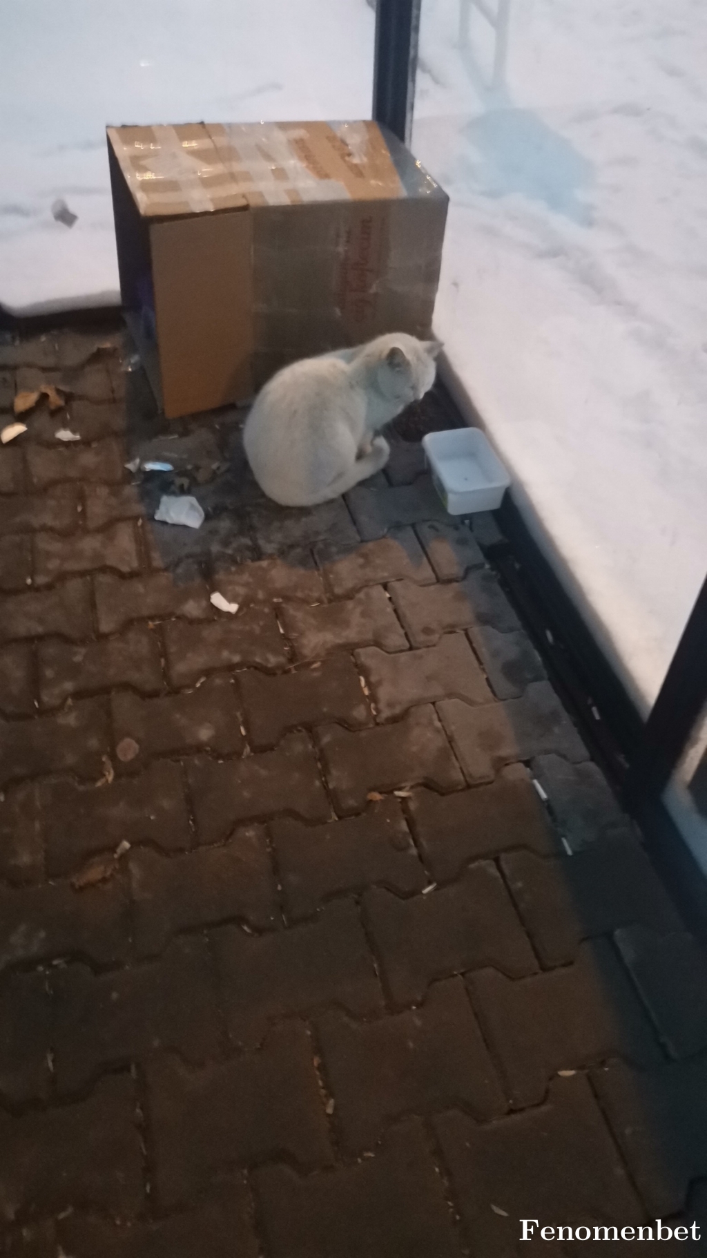 Narkoz594 tarafından paylaşıldı