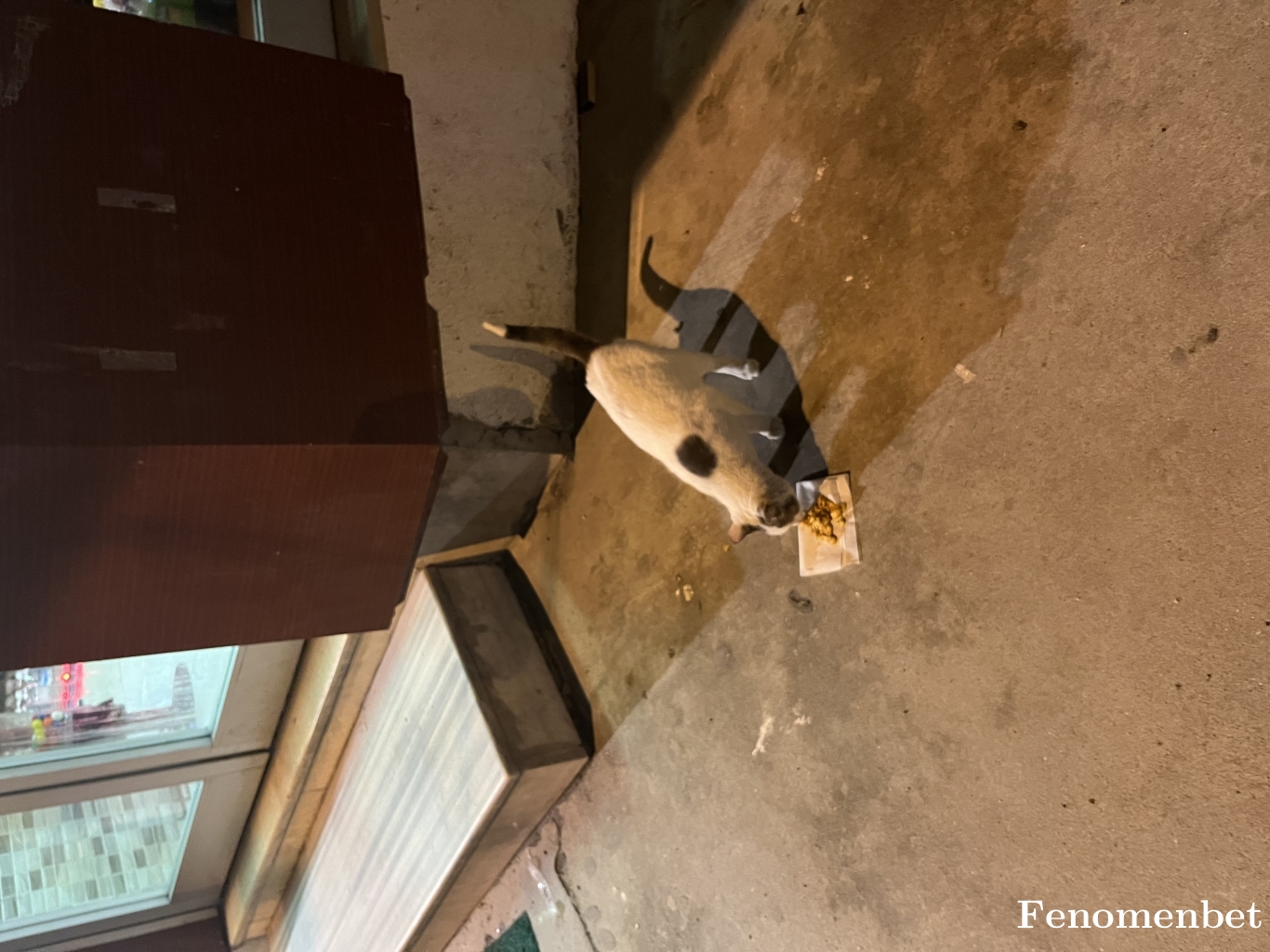 Muze38 tarafından paylaşıldı