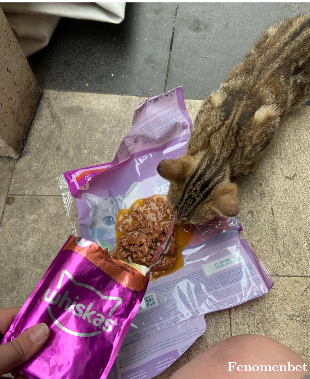 Absega tarafından paylaşıldı