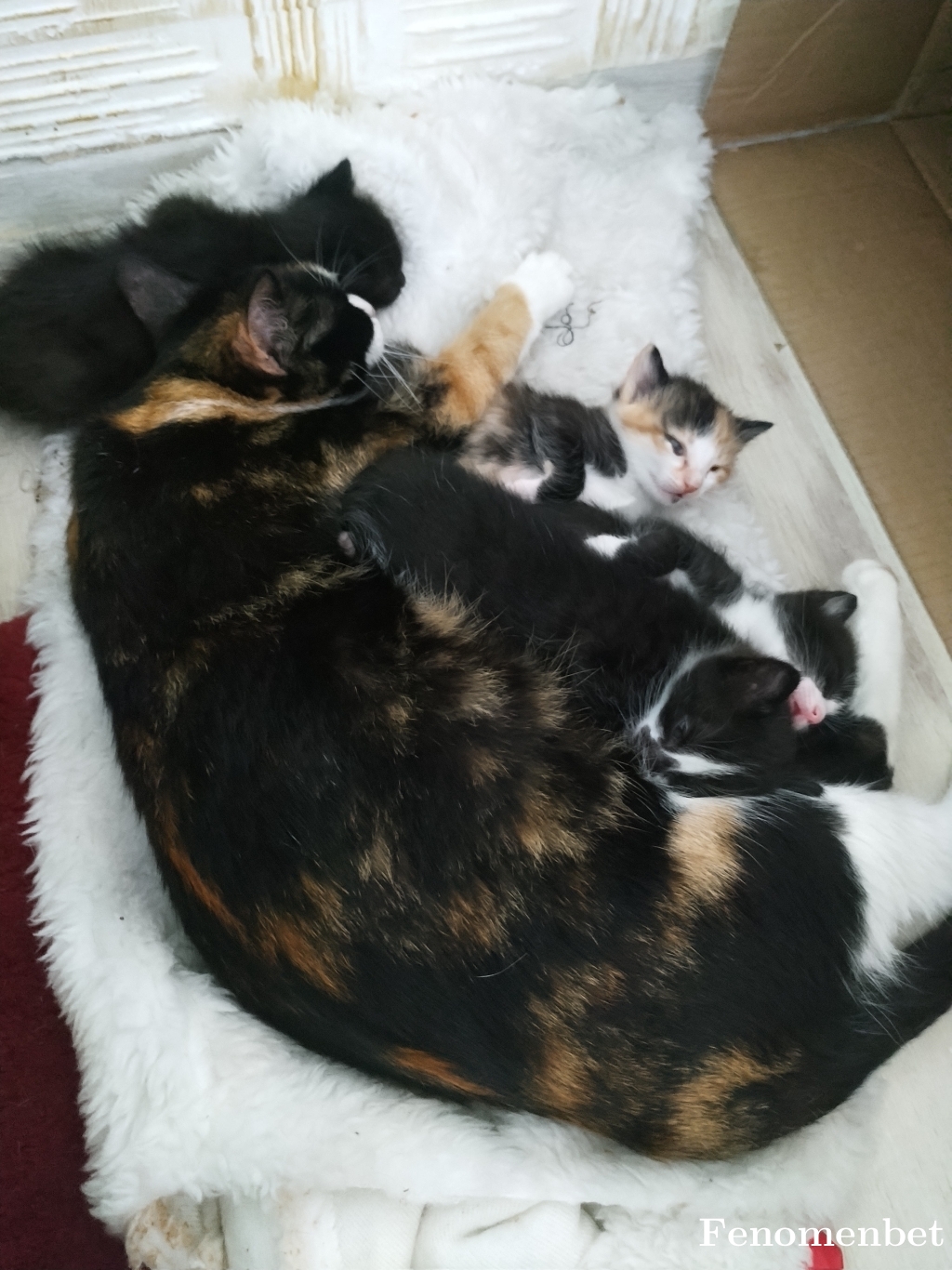 Arzukilic01 tarafından paylaşıldı