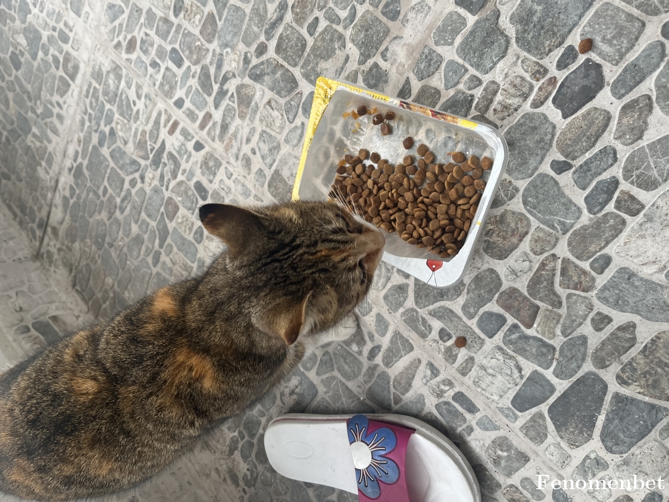 Sefika309 tarafından paylaşıldı