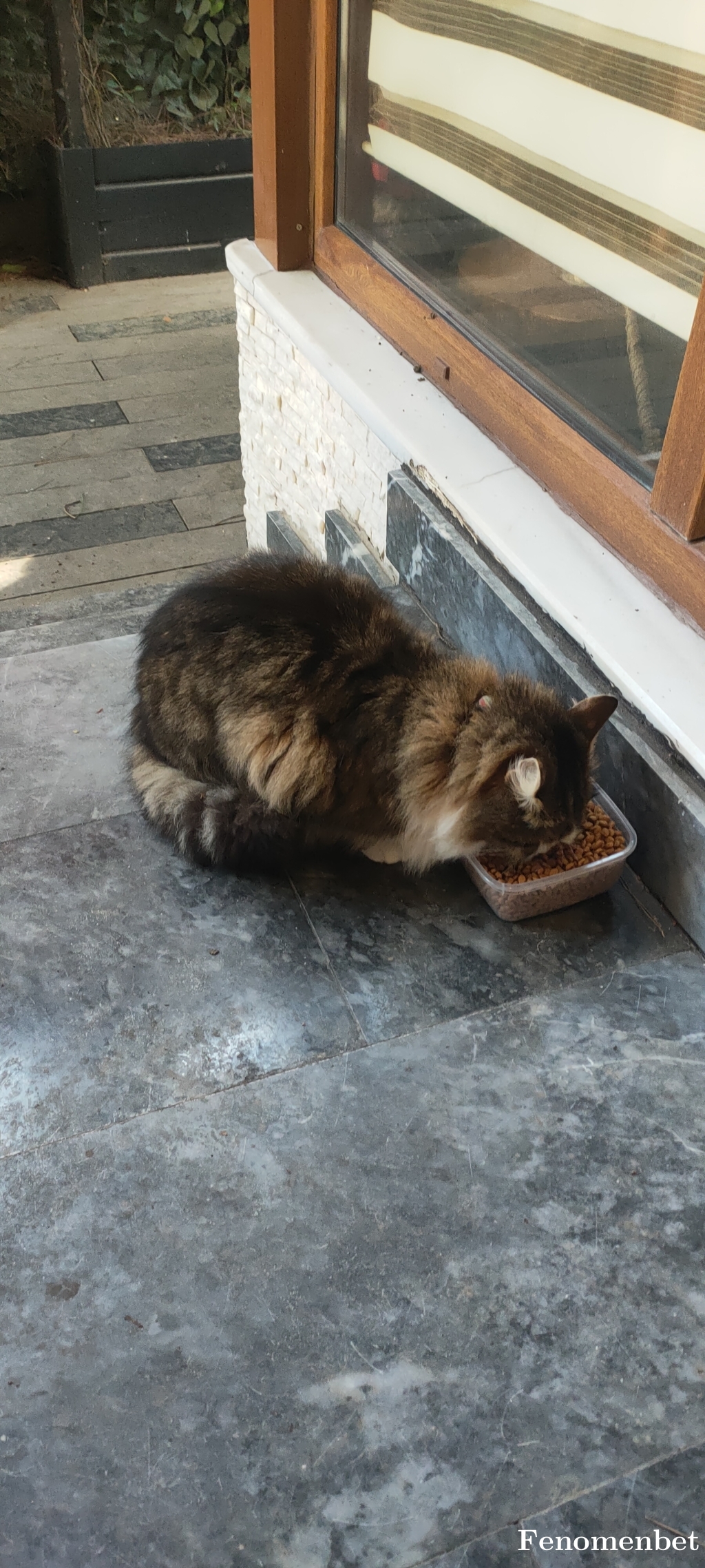 Pervin99  tarafından paylaşıldı