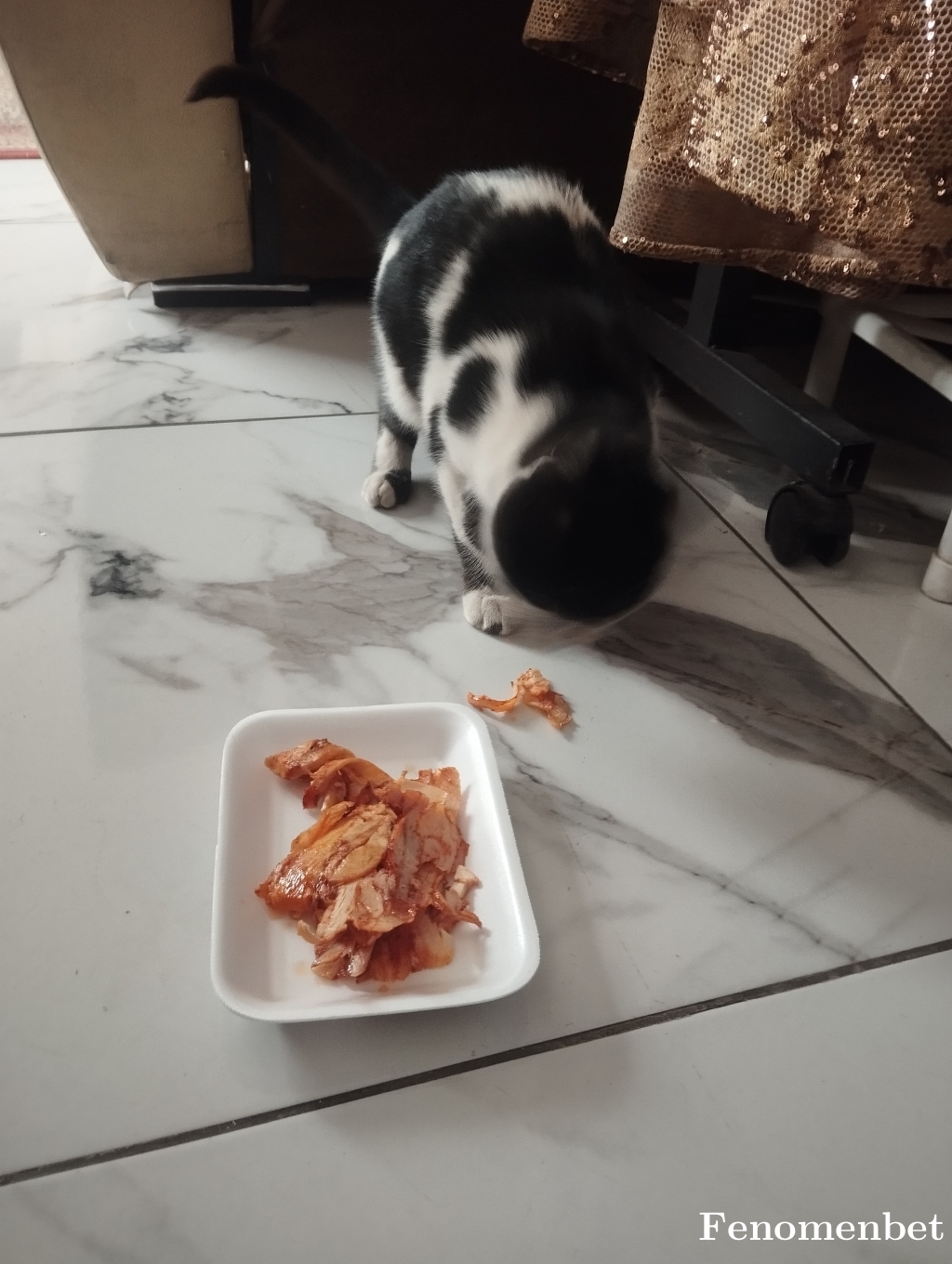 Yunus5519 tarafından paylaşıldı