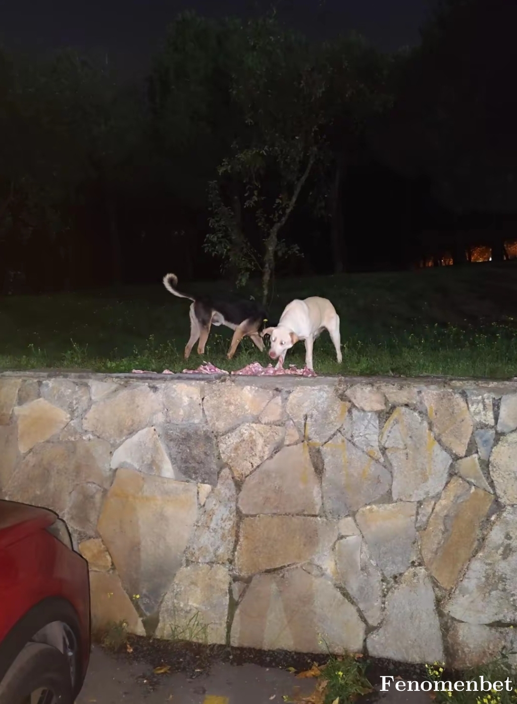 Memo0102 tarafından paylaşıldı