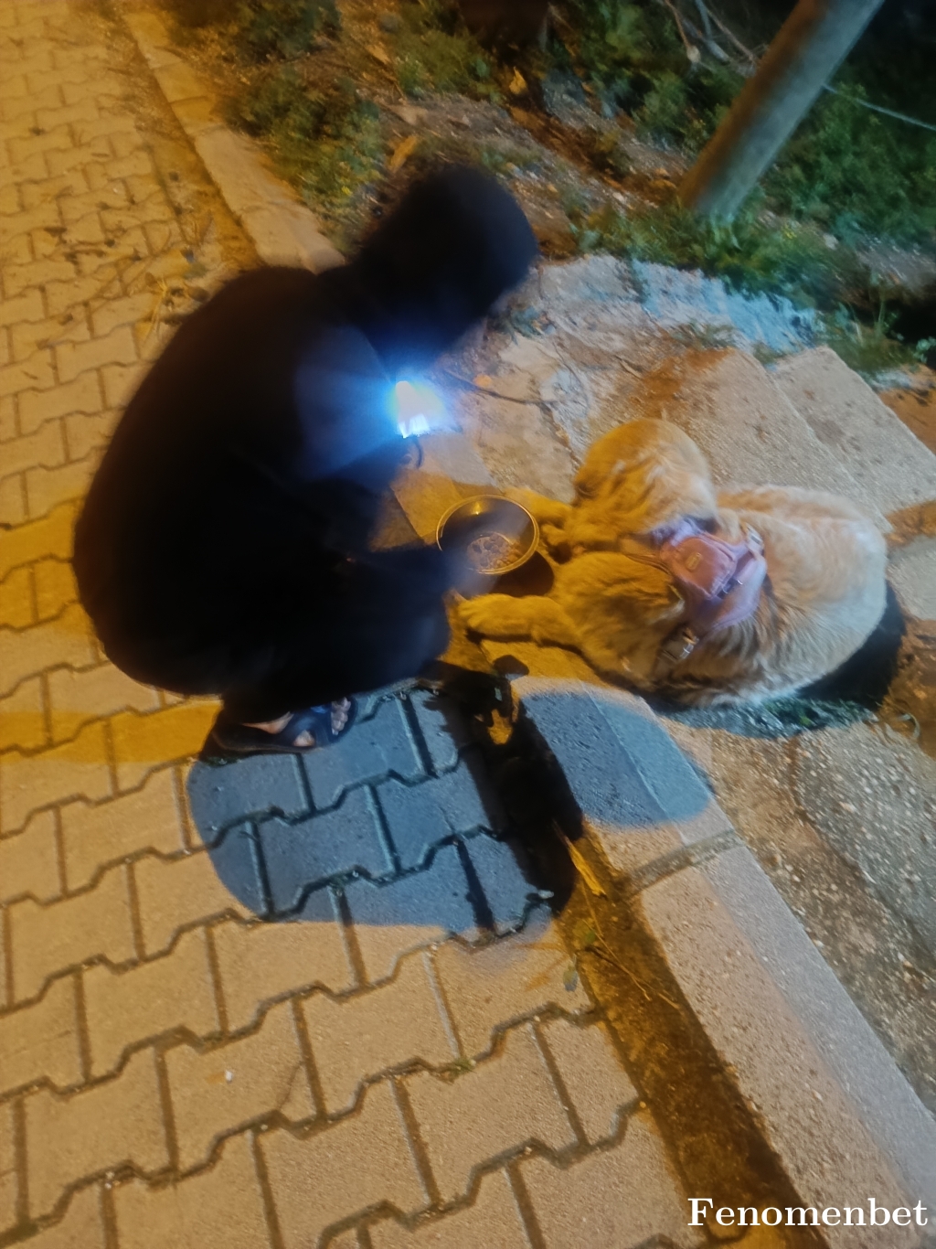 alisin tarafından paylaşıldı