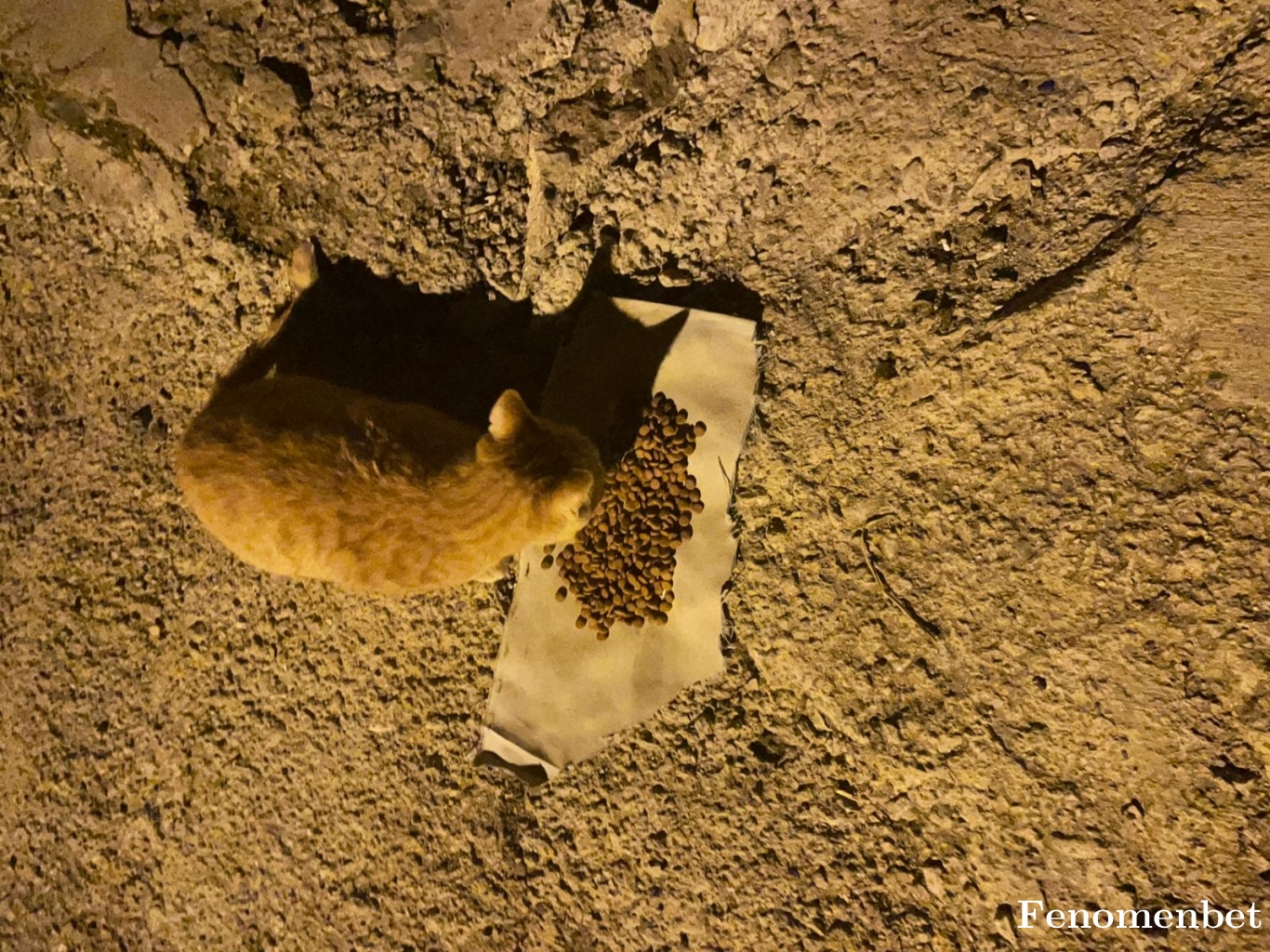 mazlum7233 tarafından paylaşıldı