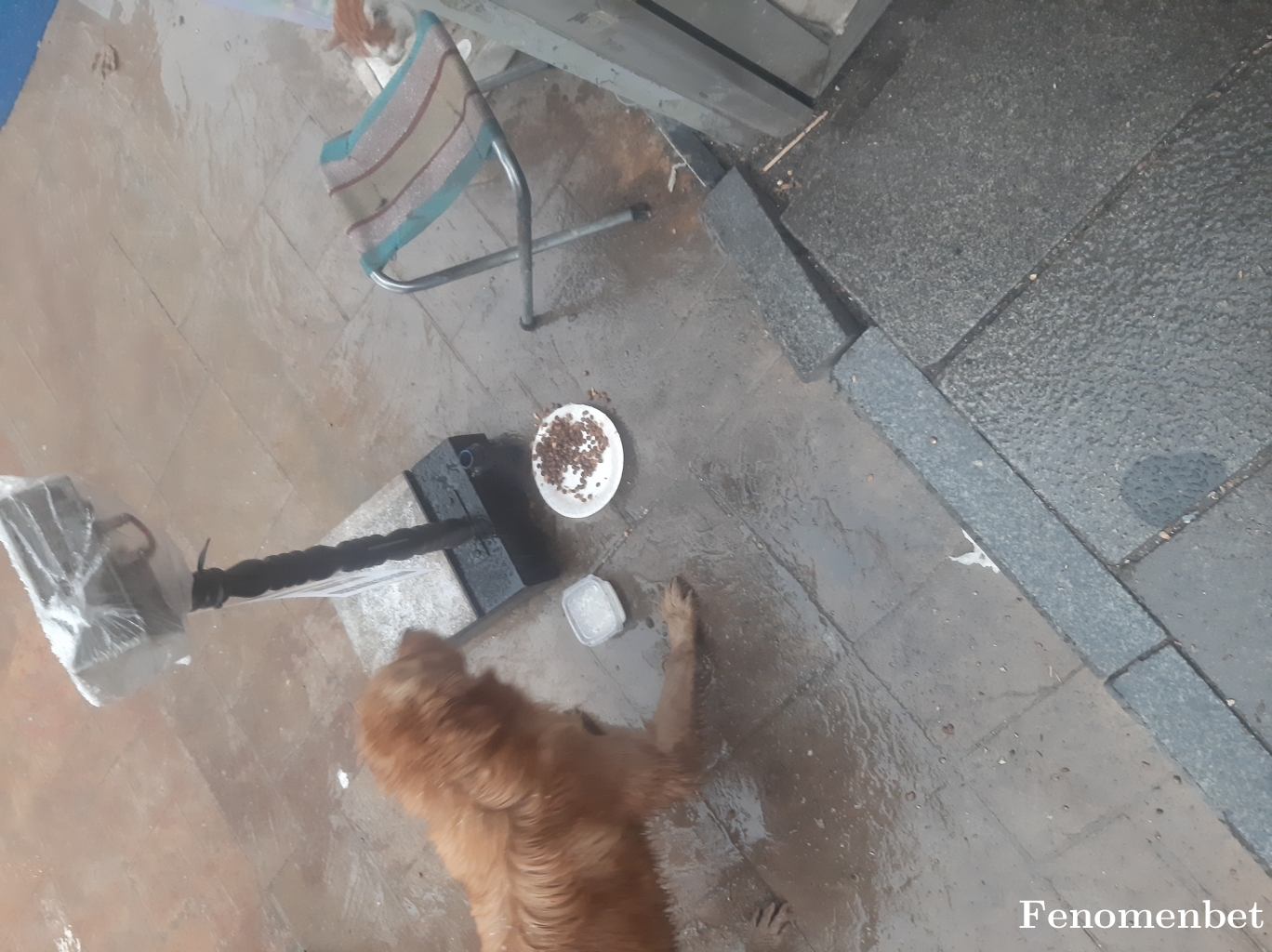 Emrullahkayabasi  tarafından paylaşıldı