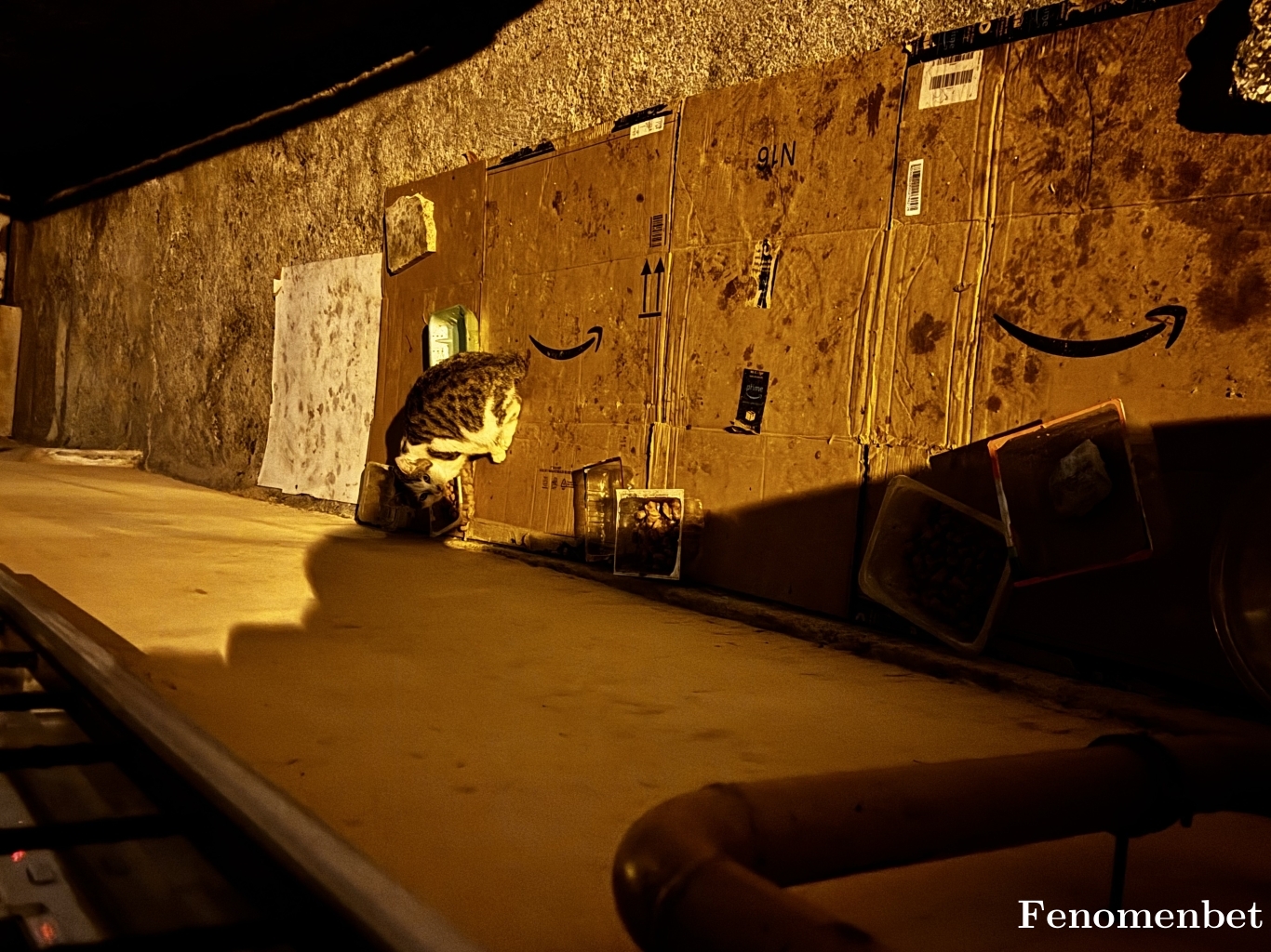 muhtoo tarafından paylaşıldı