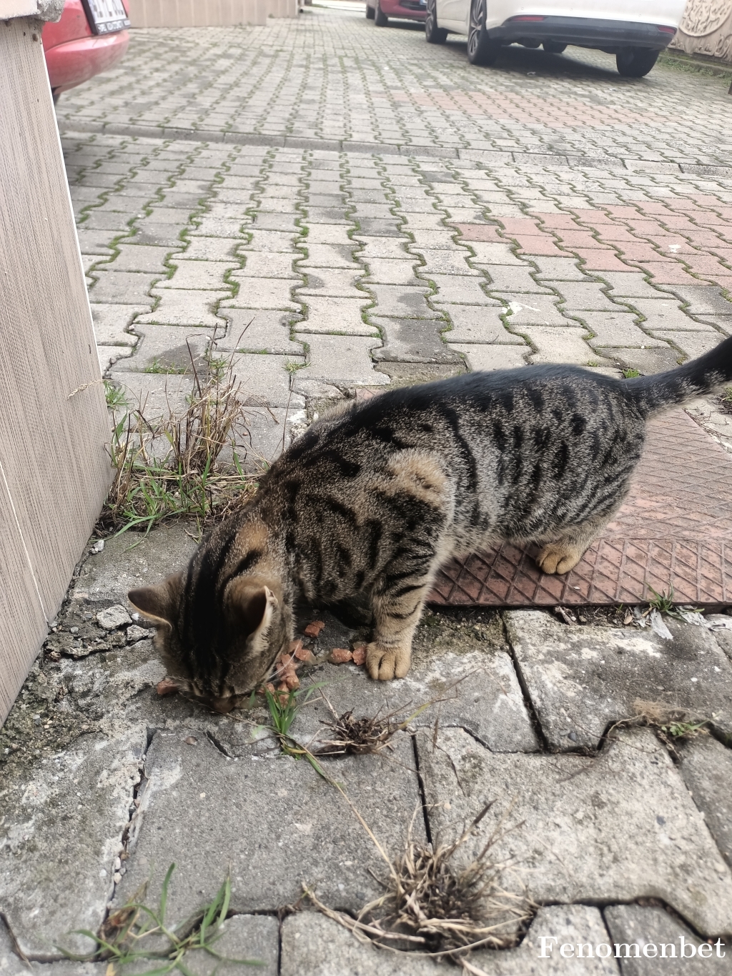 Barisdemirturk tarafından paylaşıldı
