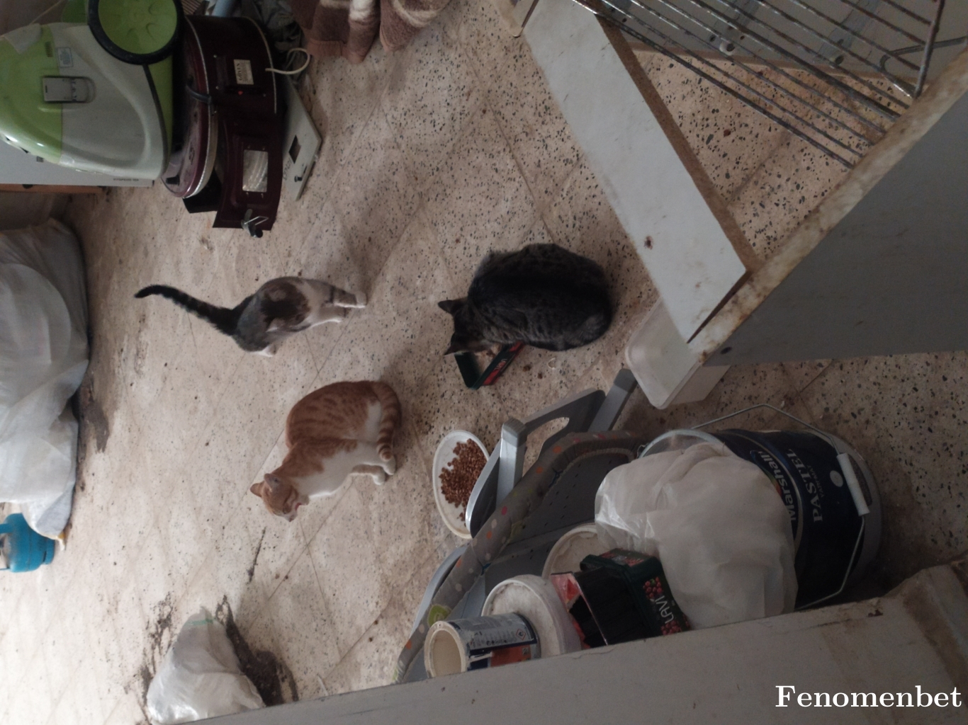 Hakan5551 tarafından paylaşıldı