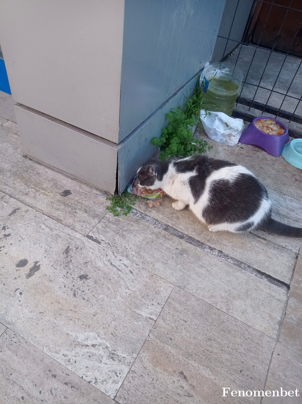 Leke11 tarafından paylaşıldı