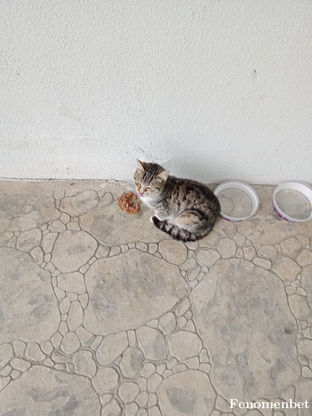 dragon1903 tarafından paylaşıldı