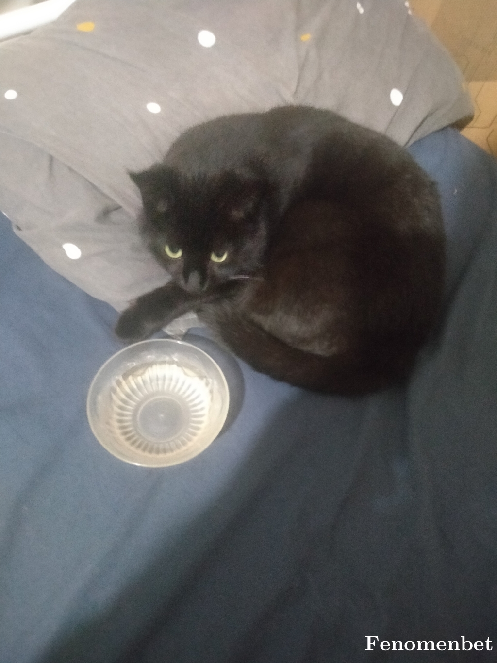 Bordo38 tarafından paylaşıldı