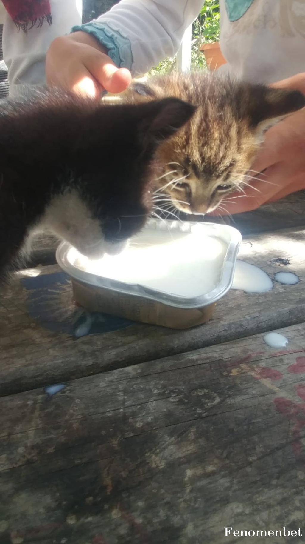 youlost4747 tarafından paylaşıldı