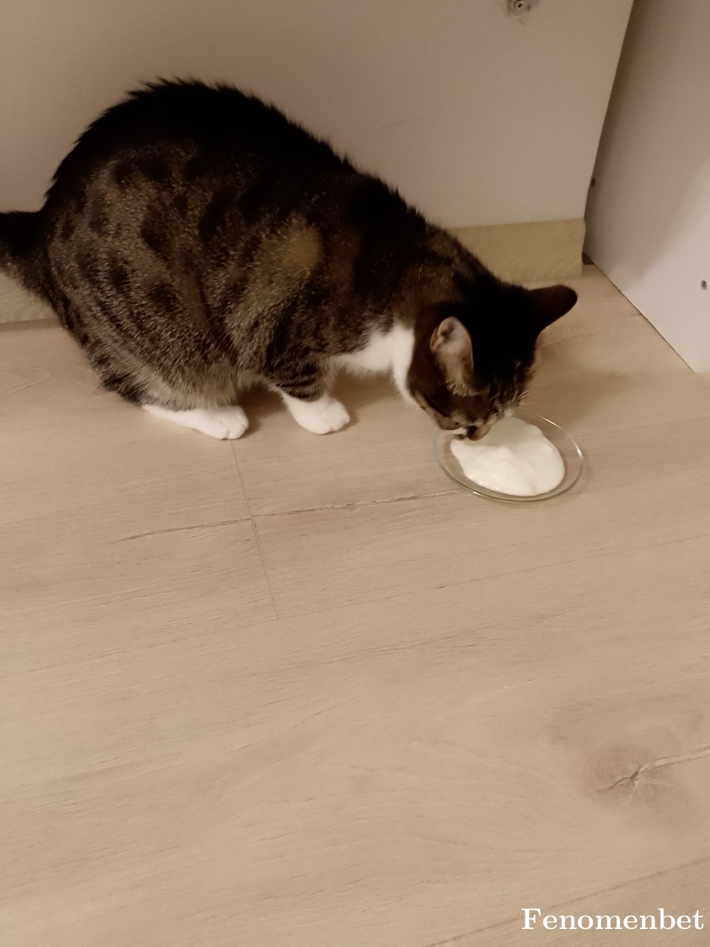 Gkmnsrn62dg tarafından paylaşıldı