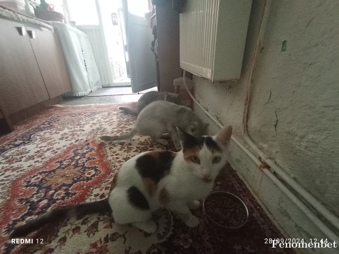 EARTHGOD tarafından paylaşıldı