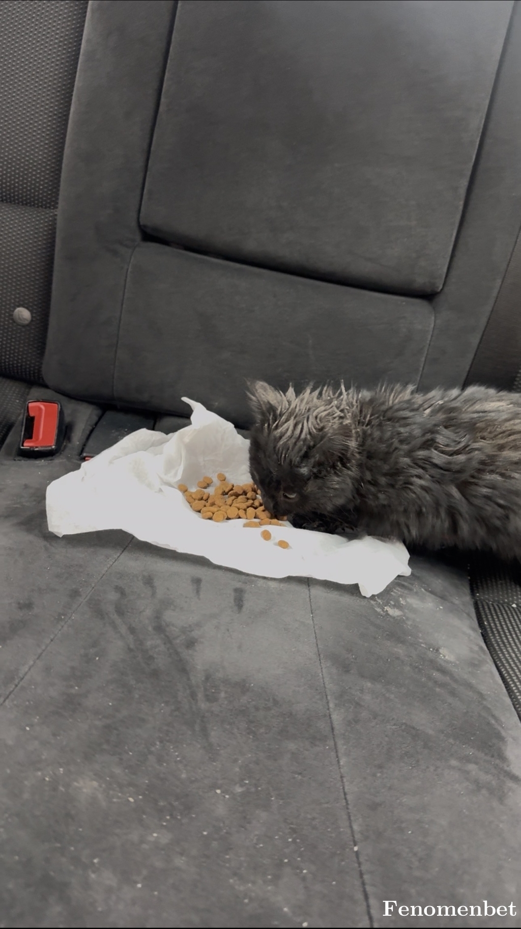 emreozdl tarafından paylaşıldı