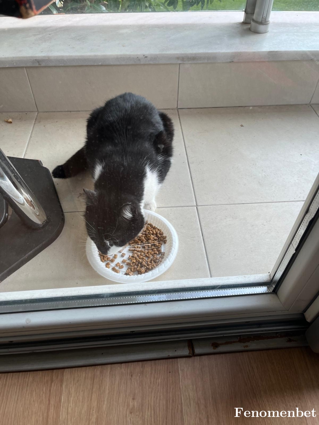 Uzay16 tarafından paylaşıldı