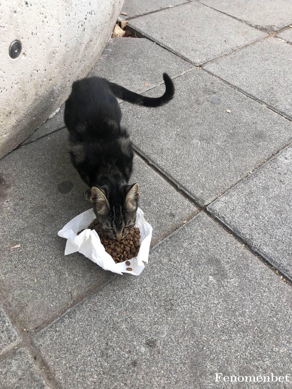 eorhan tarafından paylaşıldı