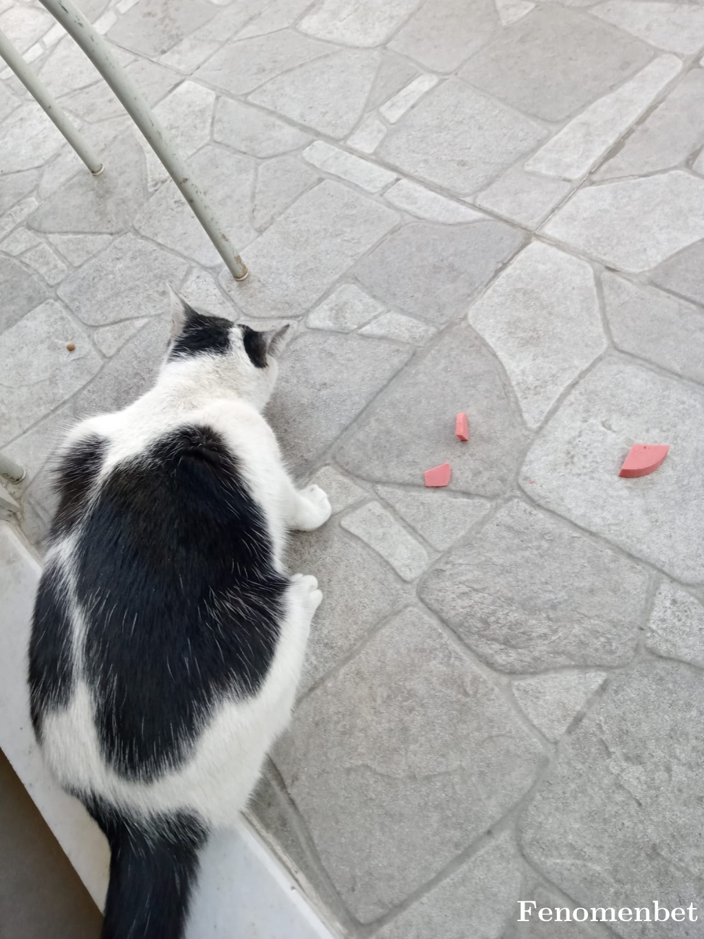 can67800 tarafından paylaşıldı