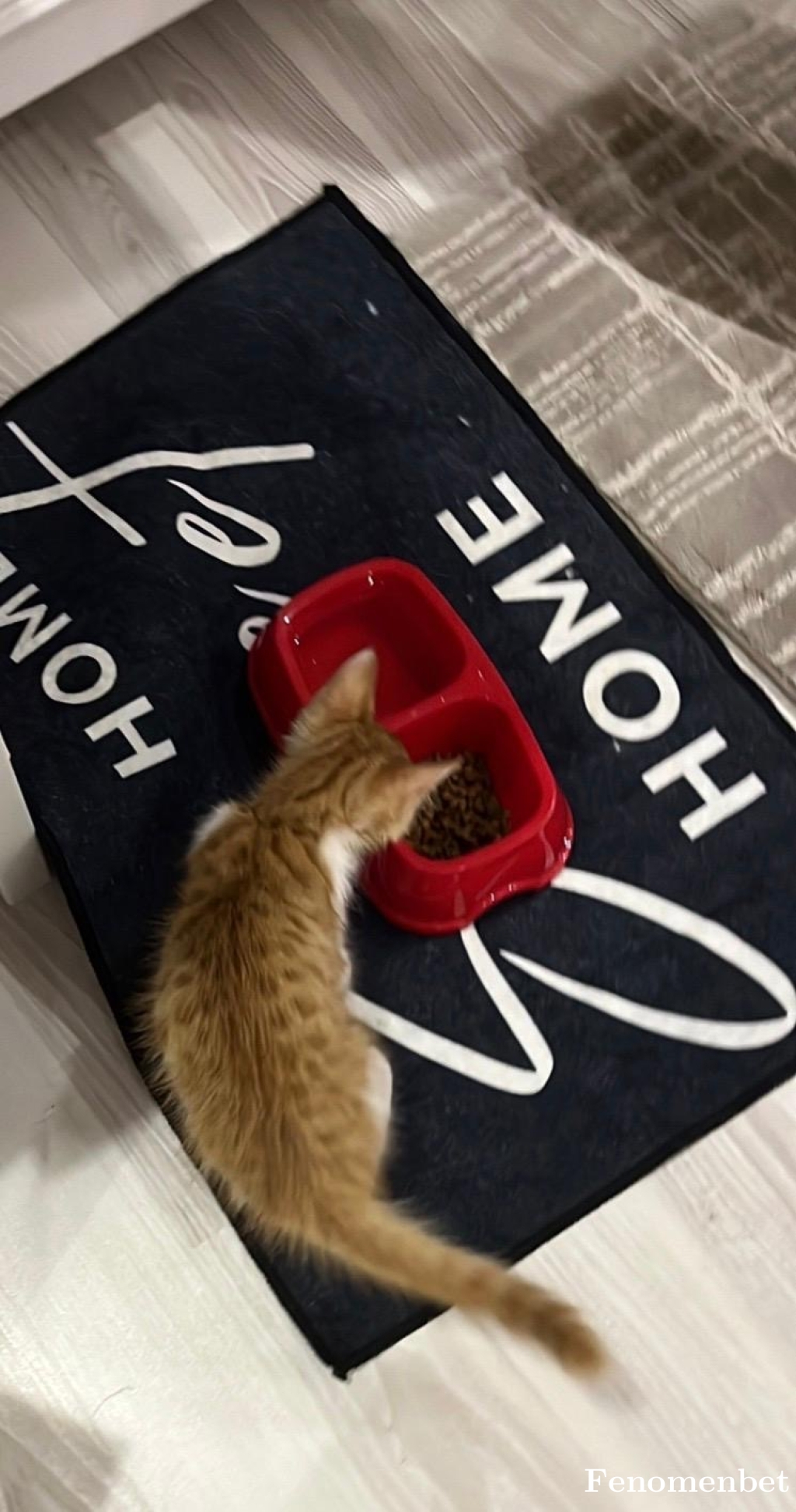 hristo1907 tarafından paylaşıldı